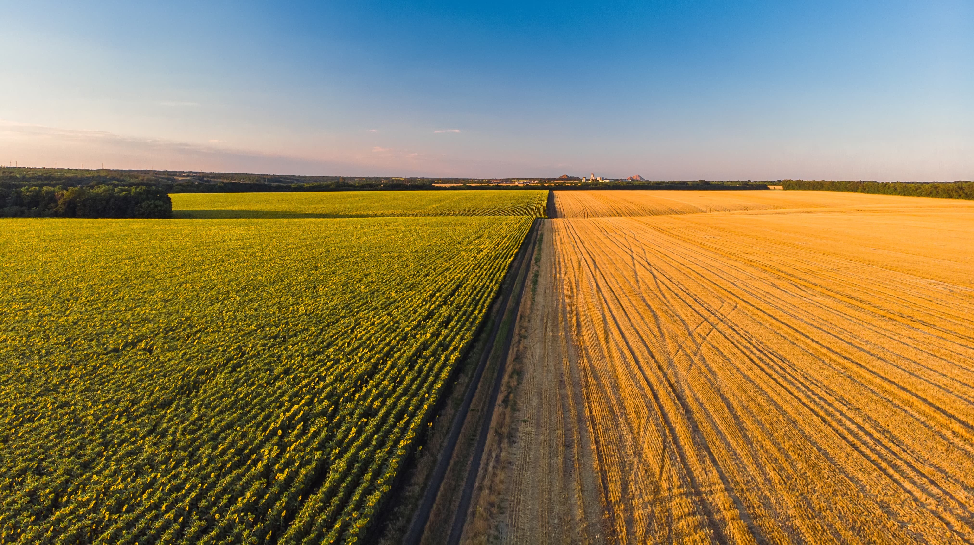 Campos agrícolas vistos desde el aire